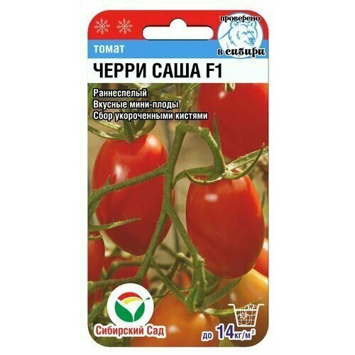 ���� ������ ����� �����-���� F1 15�� ����� ������ (��������� ���) ������ ������