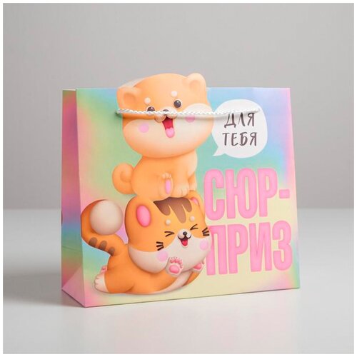 ���� ����� ���������� ������ ������� �������, 25 x 26 x 10 ��, ��������� ������ ������