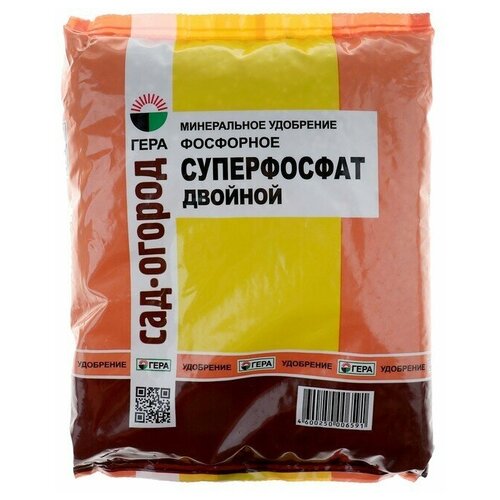 ���� ��������� 