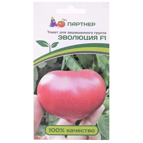 ���� ������ ������ 