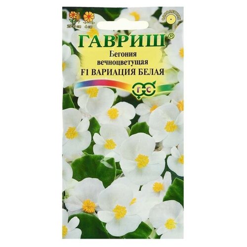 ���� ������ ������ 