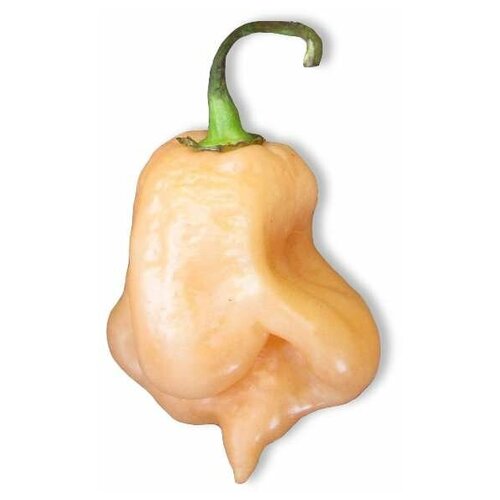    Trinidad Scorpion Peach (. Capsicum Chinense)  5   -     , -, 