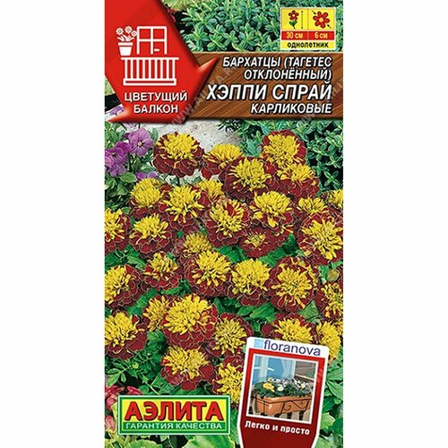 ���� ������ �������� ����� ����� ����������, ����������, (������) 7�� �������� ������ ���. Floranova ������ ������