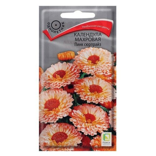 ���� ������ ������ ��������� �������� 