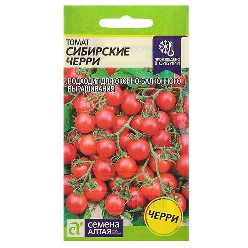 ���� ������ ������ ����� ����� ��������� �����, 0,1 � ������ ������