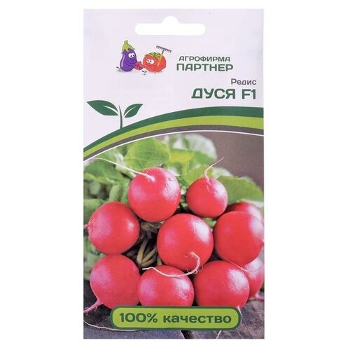 ���� ����� ���� F1 1� ������� ������ ������