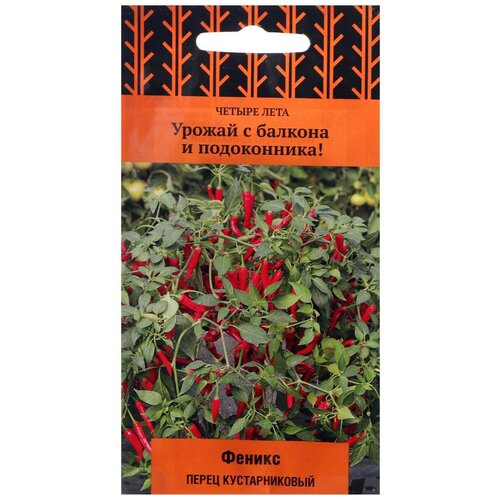 ���� ������ ����� ������ ���� ����� ������������� ������ ������ 5 ��. ������ ������