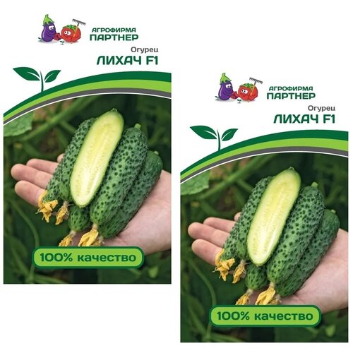 ���� ������ ������ ����� F1 /��������� �������/ 2 �������� �� 5 ����� ������ ������