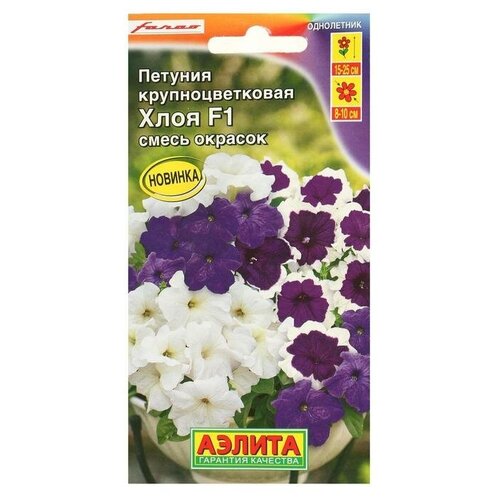 ���� ������. ������� ��������������� 