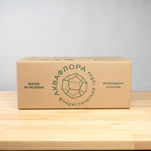 ���� �������������� ����� 20 ����, ����� �������������� ������ ������