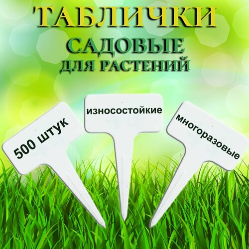 ���� �������� ������� ��� ���������� ��������, 500 ���� ������ ������