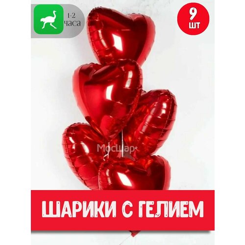 ���� ��������� ���� � ������ ������� 