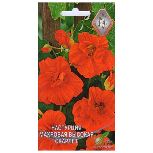 ���� ��������� �������� ������� �������, 9 ����� ������ ������