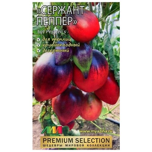 ���� ������ ������ 