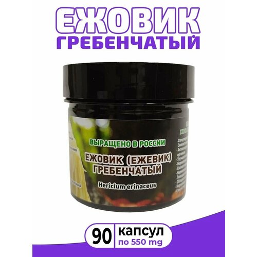 ���� ������ (������) ����������� /���� ������� ����� /Lions mane /�������� 90 ������ �� 550 �� ������ ������