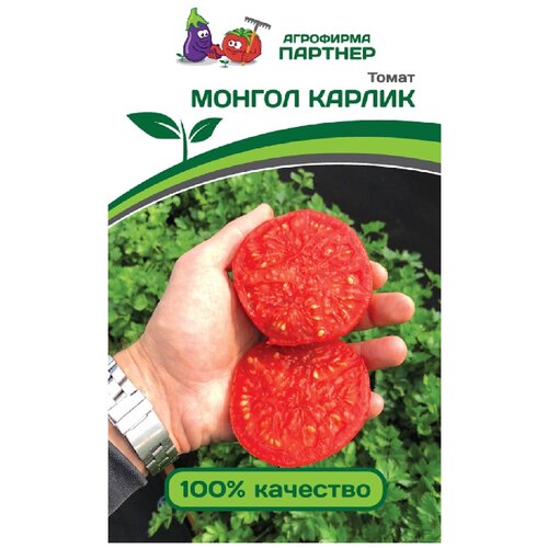 ���� ������ ����� 