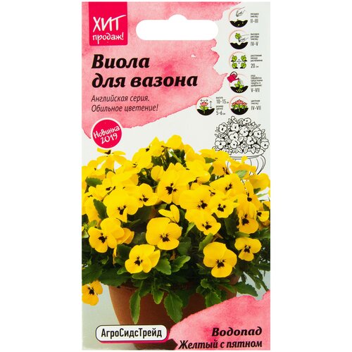 ���� ����� ������� ������ � ������ 5 �� ��� / ������ ����������� / ������� ������ / ������ ����������� � ���������� ������ ��� ������� ������ ������