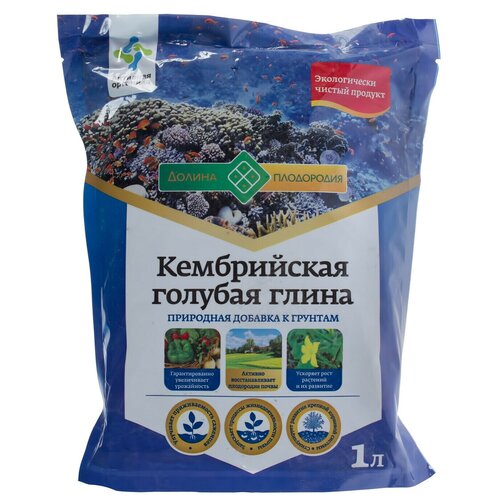 ���� ��������� 