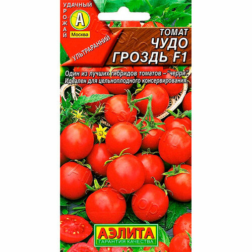 ���� ������ ����� ���� ������ F1 20�� ����� ������ (������) ������ ������