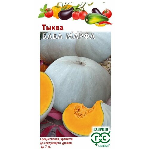 ���� ������ ����� ���� ����� �23 1� (������) ������ ������