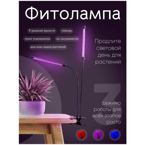       .   .   LED    , 2    -     , -, 