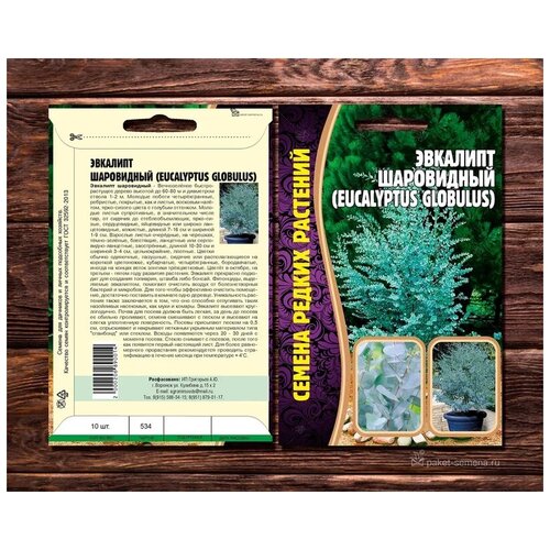 ���� ������ ��������� ����������� (Eucalyptus Globulus) (10 �����) ������ ������
