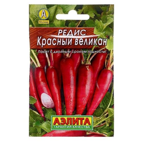 ���� ������ ����� 