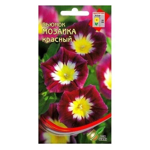 ���� ������ ��� ����� ������ �������, �������, 44 ��. ������ ������