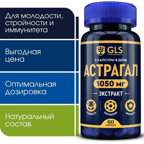 ���� �������� ������������ (�������� ������), �������� / ��� ��� ���������, ��������� � ����������, 60 ������ ������ ������