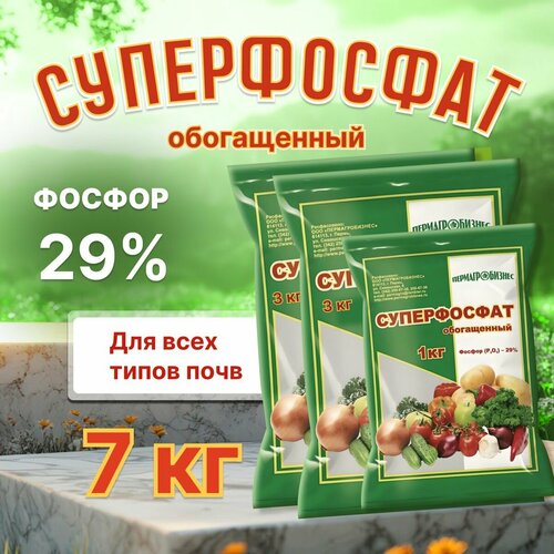 ���� ������� ��������� ������������� ����������� 7�� ������ ������