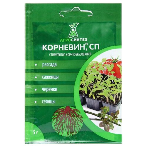 ���� ��������� ���������� ��������, 0.005 �, 5 �, 1 ��. ������ ������