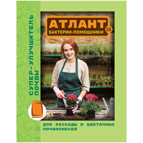 ���� ��������� ���� ��������� ������ ��������-��������� ����� ���������� �����, 30 � ������ ������