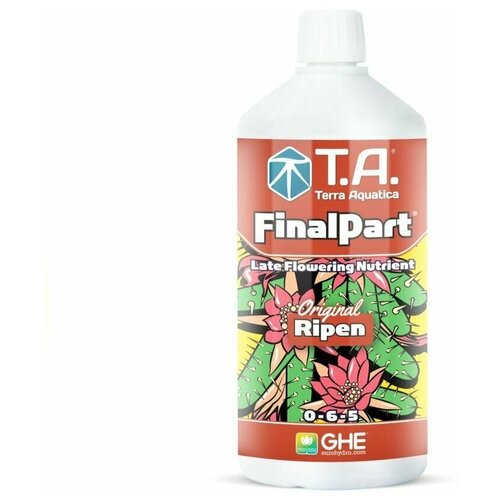 ���� ���������� �������� GHE Ripen (T.A. FinalPart) 1 � ������ ������