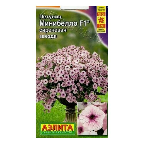 ���� ������� ���� �������������� ��������� ��������� ������ F1 ( 1 �������� ) , ������ ������ ������