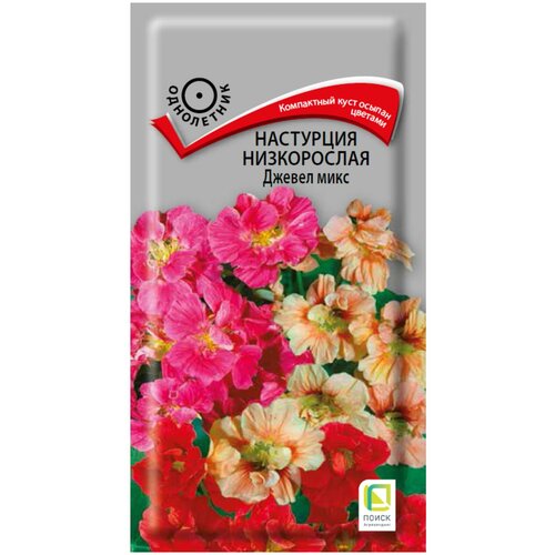 ���� ��������� ����������� ������ ���� 2 � ������ ������