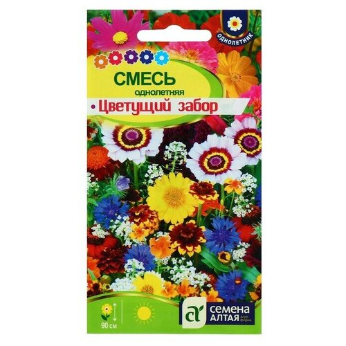 ���� ������ ����� ������ ������ ����� 