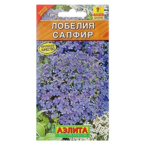 ���� ������ ������ ������� 