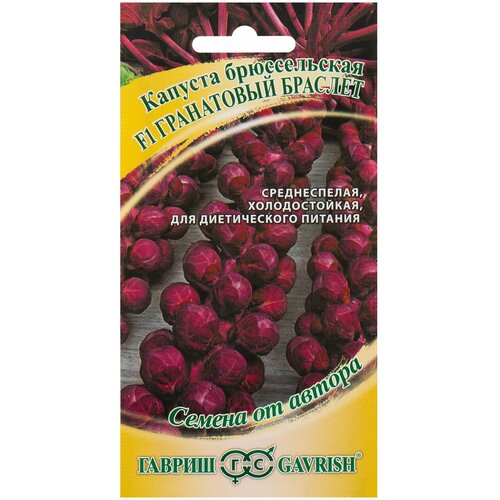 ���� ������ ������� ������������ 