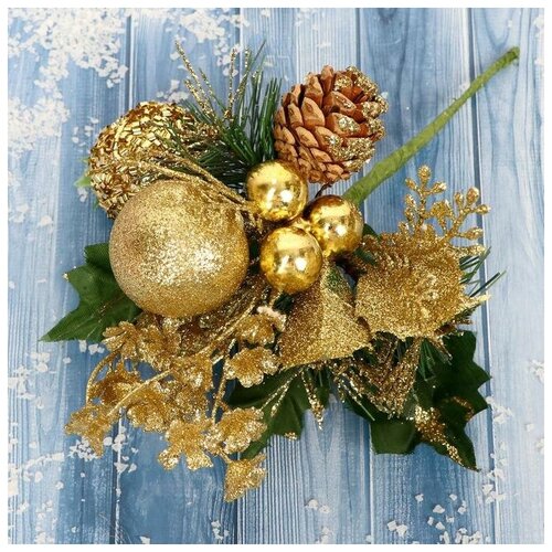 ���� ����� 