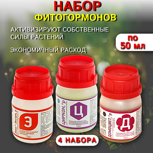 ���� ����� �� 50 �� �������� + ������ + ���� ������ 4 �� ������ ������