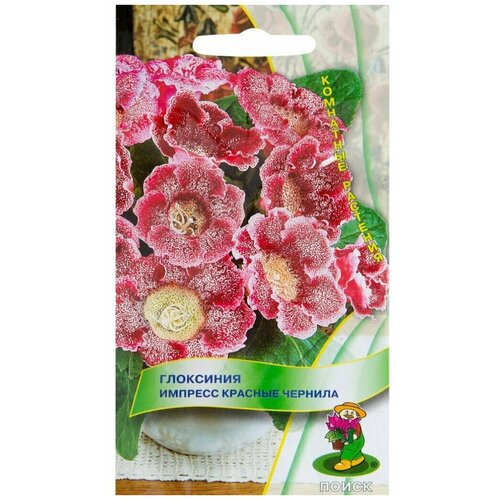 ���� ������ ������ ��������� 