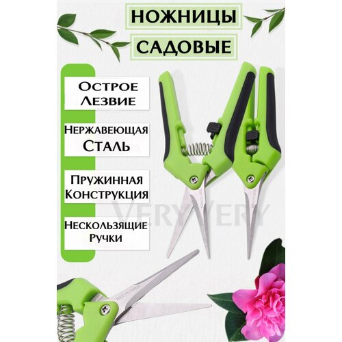 ���� ������� ������� ������� ��� ������ � ������ ������ ������