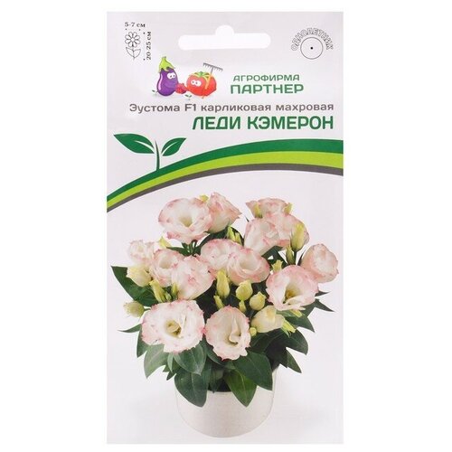 ���� ������ ������� ��������������� ���������� �������� 