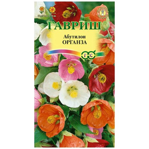 ���� �������� ������� ����� 7�� ������ ������ ������