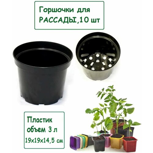 ���� ������ ��� ������� 3 �, ������� 19 ��, ���� ������ (����� 10 ��). ������������ ����� �� �������� ��� ������������ ����� ��� ���������� �������� � �������� ������ ������ ������