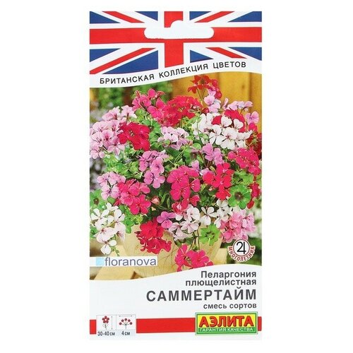 ���� ���������� 