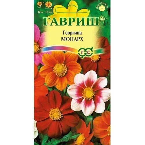 ���� ������. �������� 