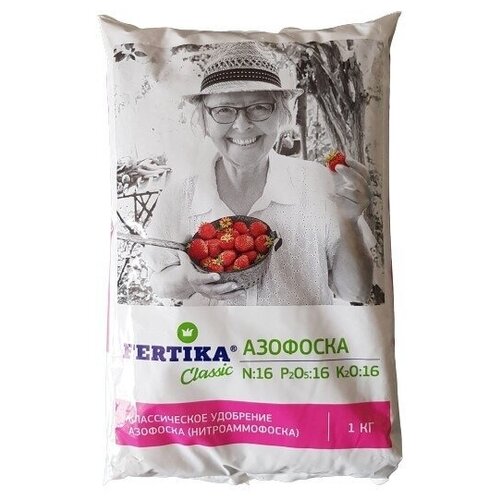 ���� ��������� ������� �������� ������� ������ ������