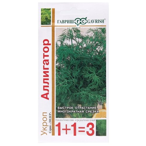 ���� ������ ������ 1+1=3 ����� ��������� 4 � ������ ������