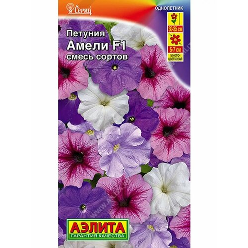 ���� ������. ������� �������������� 